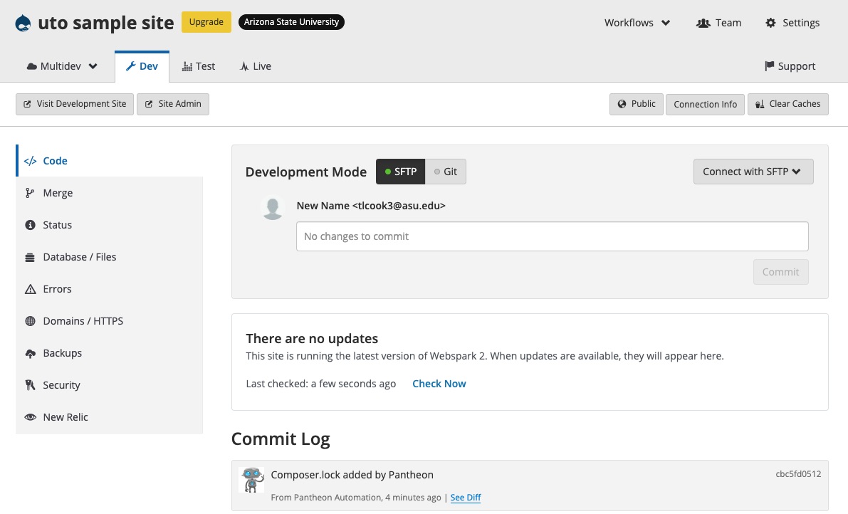 Pantheon dashboard example