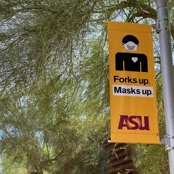 Light pole banners